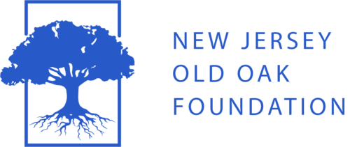 Partner-3@2x-1-e1669689384178